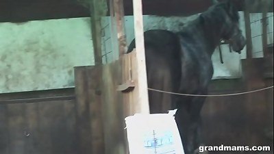 mature farmer wifey takes the stiff penis in the backyard